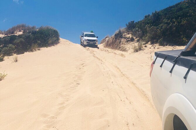 Tag along 4x4 tours Robe and Beachport - Exploring the Rugged South Australian Coastline
