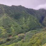 Tahiti Fautaua Valley and Big Waterfall Private Hiking Tour - The Value of This Adventure