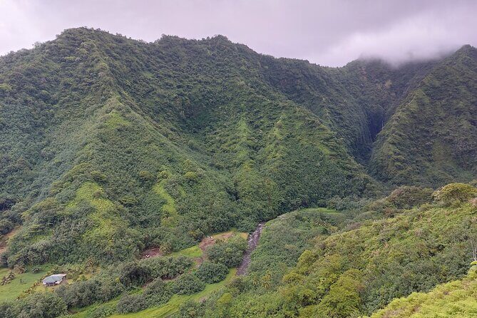 Tahiti Fautaua Valley and Big Waterfall Private Hiking Tour - The Value of This Adventure