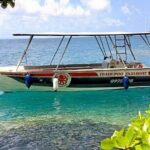 Tahiti: Full Day Tour with Taxi Boat (Teahupoo. OJ 2024) - In-Depth Review of the Tahiti Full Day Tour with Taxi Boat