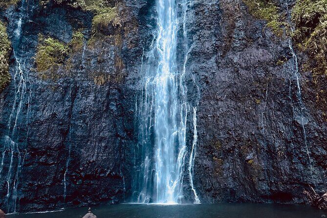 Tahiti, Private Day Tour, An A la Carte Experience - Who Will Love This Tour?