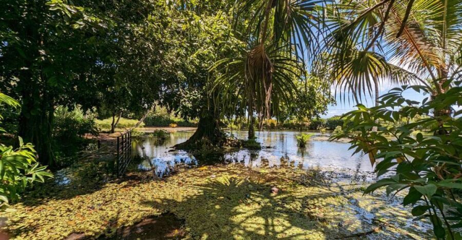 Tahiti Private Half Day Tour. Nature, history and culture - Why This Tour Offers Great Value