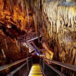 Tahune Airwalk & Hastings Cave Active Day Tour from Hobart - The Full Experience: What You Can Expect