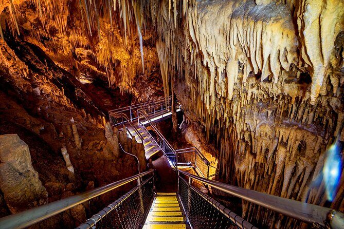 Tahune Airwalk & Hastings Cave Active Day Tour from Hobart - The Full Experience: What You Can Expect