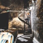 Taillan-Médoc: Château Visit and Wine Tasting in Bordeaux - Tasting and Boutique Shopping