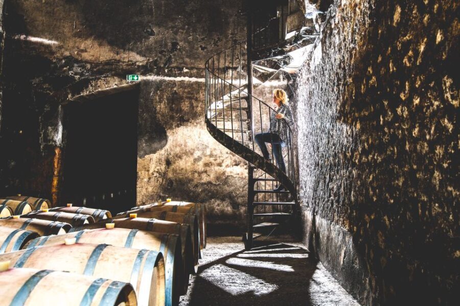Taillan-Médoc: Château Visit and Wine Tasting in Bordeaux - Tasting and Boutique Shopping