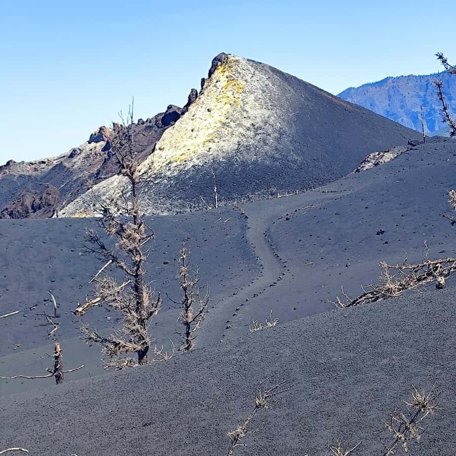 Tajogaite Volcano VIP Experience: Private Tour with Certified Tour Guide - In-Depth Review of the Tajogaite Volcano VIP Experience