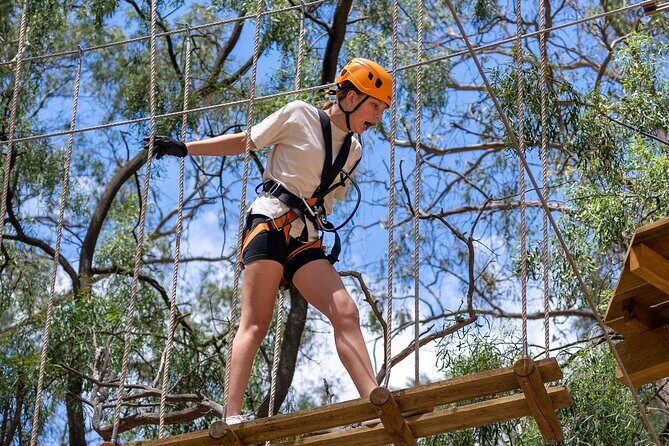 Take the Challenge and Conquer the Salisbury Treetops - The Practicalities: Booking, Location, and Tips