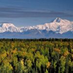 Talkeetna: Denali Zipline Tours - An In-Depth Look at the Denali Zipline Tour Experience