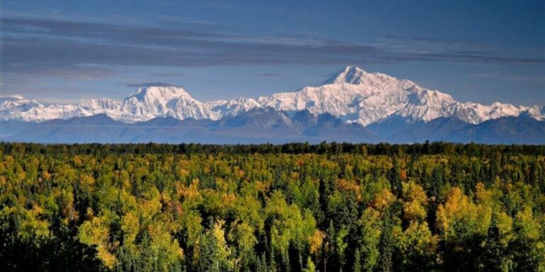 Talkeetna: Denali Zipline Tours - An In-Depth Look at the Denali Zipline Tour Experience