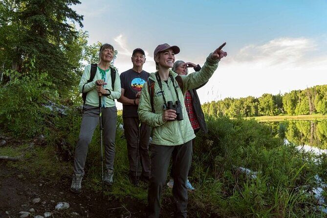 Talkeetna Lakes Hike Guided by a Naturalist - The Sum Up