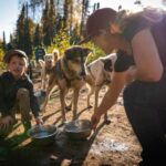 Talkeetna: Mushing Experience with Iditarod Champion Dogs - The Sum Up