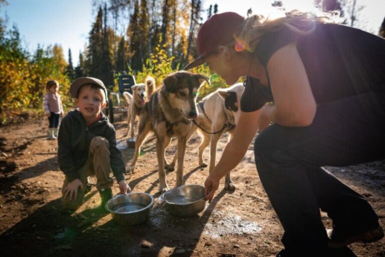 Talkeetna: Mushing Experience with Iditarod Champion Dogs - The Sum Up