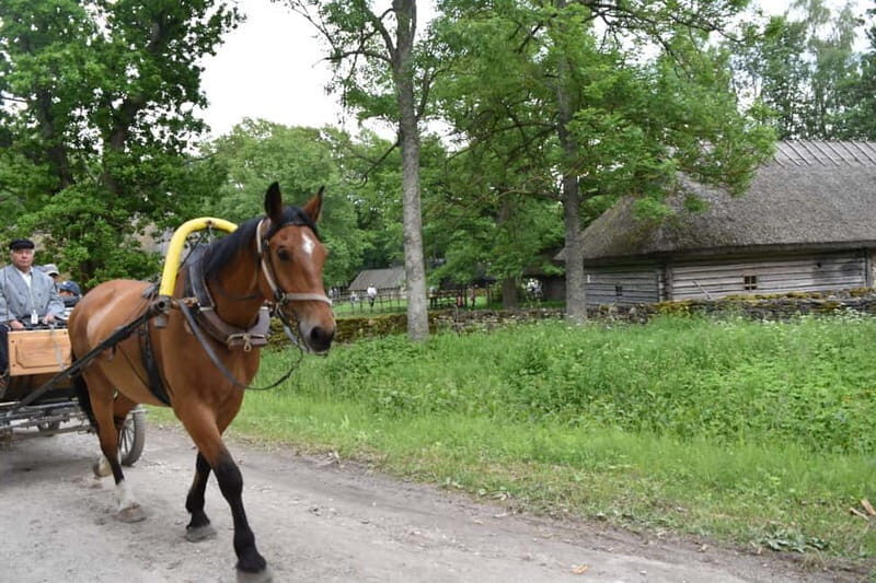 Tallinn: 3-Hour Ethnographic Museum of Estonia