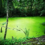 Tallinn: Astangu Nature and History Hike - Who Should Consider This Tour?
