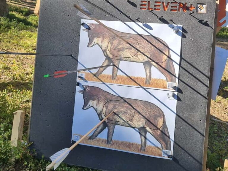 Tallinn: Beginner Archery Class with Transfer - FAQ