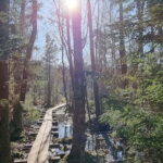 Tallinn: Best Estonian Nature Trails in a Day Guided Tour - Why This Tour Offers Great Value