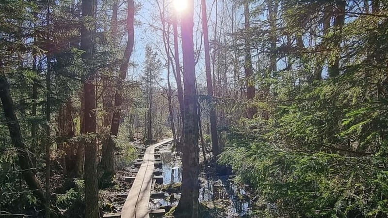 Tallinn: Best Estonian Nature Trails in a Day Guided Tour - Why This Tour Offers Great Value