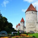 Tallinn Day Tour from Helsinki (Ferry Tickets+ Guiding+ Own Time) - Who Is This Tour Best For?