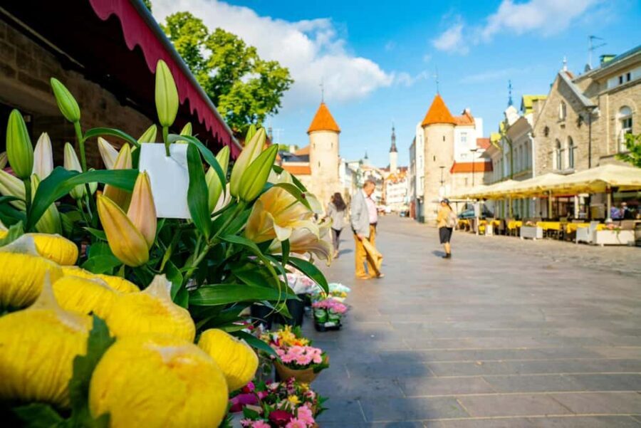 Tallinn Old Town: Stories and Views 2Hour Walking Tour - Why This Tour Works Well