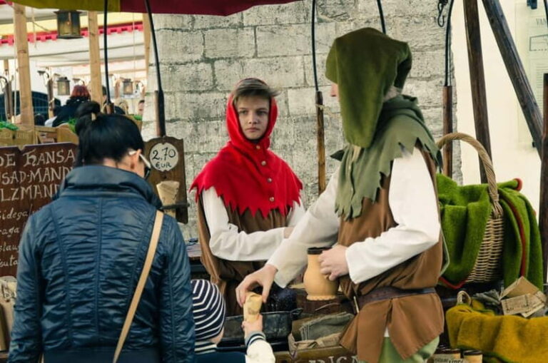 Tallinn: Top Attractions and Viimsi Open Air Museum - Practical Details and Logistics