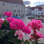 Tallinn Town Hall with a guide - Authentic Stories and Reviews