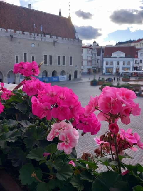 Tallinn Town Hall with a guide - Authentic Stories and Reviews