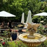 Tamborine Explorer from Brisbane - Practical Details: What You Need to Know