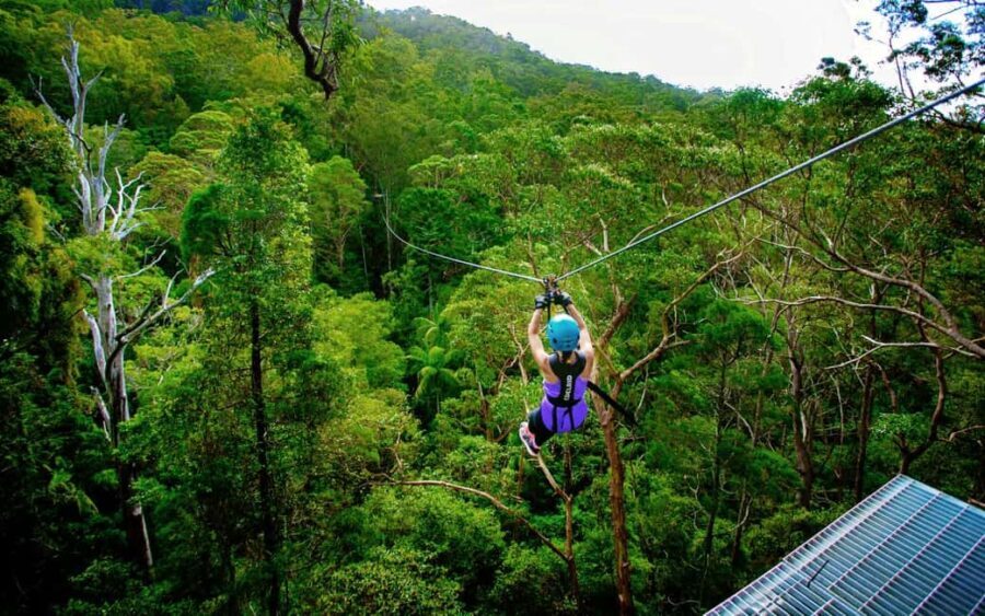 Tamborine Mountain: TreeTop Challenge Adrenaline Pass - Final Thoughts