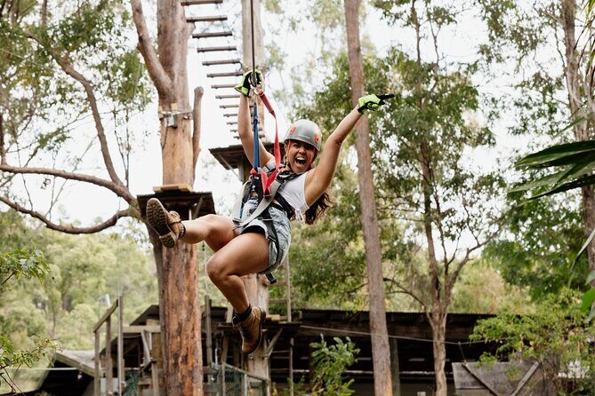 Tamborine Mountain TreeTop Challenge Adventure Park - Who Should Consider This Experience?