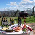 Tamburini Wine Tour and Tasting - A Deep Dive into the Tamburini Wine Experience