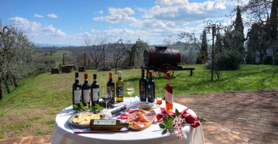 Tamburini Wine Tour and Tasting - A Deep Dive into the Tamburini Wine Experience
