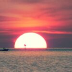 Tampa Bay: Private Sunset Cruise with Champaign or Wine - Why You Should Consider This Cruise