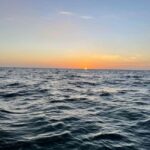 Tampa Bay: Sunset Cruise with Celebrity Homes and Wildlife - Final Thoughts: Is It Worth It?