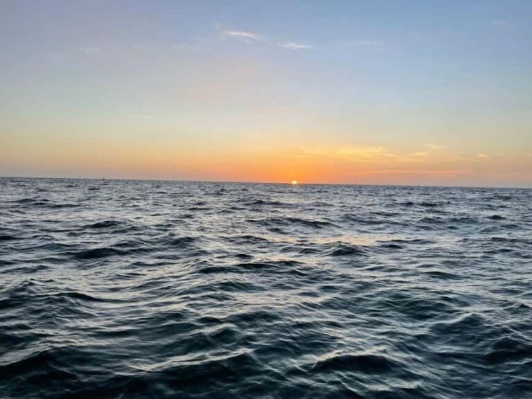 Tampa Bay: Sunset Cruise with Celebrity Homes and Wildlife - Final Thoughts: Is It Worth It?