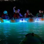 Tampa: Clear Glowing Kayak Nighttime Tour - What’s Included and What to Bring