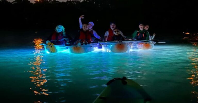 Tampa: Clear Glowing Kayak Nighttime Tour - What’s Included and What to Bring