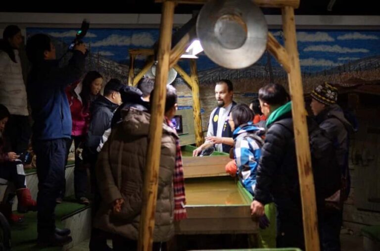 Tankavaara: Gold Museum Entry, Tour, and Gold Panning - What to Expect at the Museum
