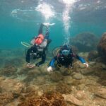 Taormina Scuba Diving Experience - Authentic Experiences and Honest Feedback