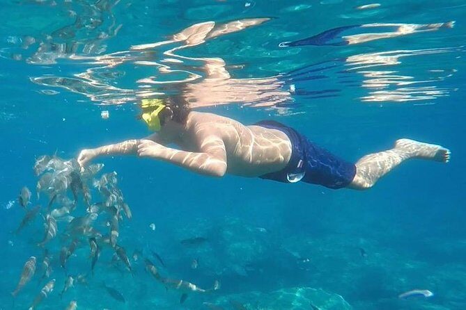Taormina snorkeling experience - Why Choose This Tour?