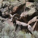 Taos/Santa Fe: Rio Grande Half-Day Float Trip - Final Thoughts