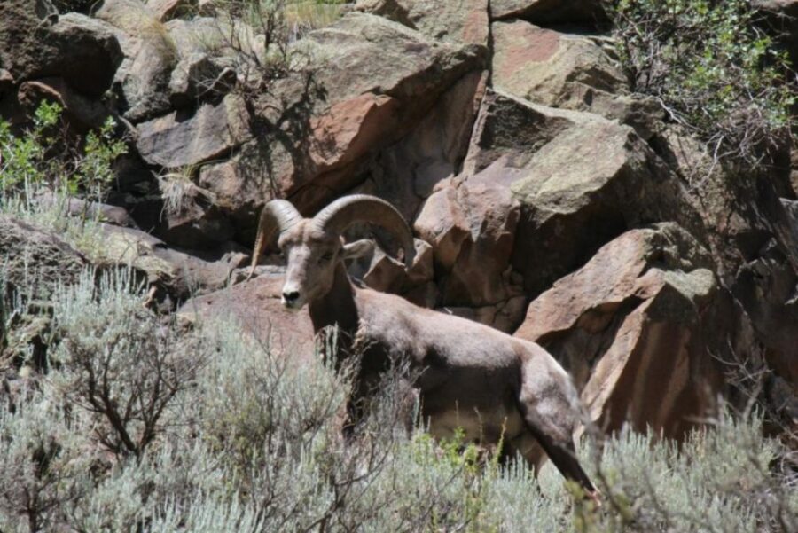 Taos/Santa Fe: Rio Grande Half-Day Float Trip - Final Thoughts