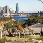 Taronga Zoo + Ferry Return Ticket - FAQ