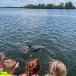 Tarpon Springs: Private Island Tour & Dolphin Cruise - Who Is This Tour Best For?