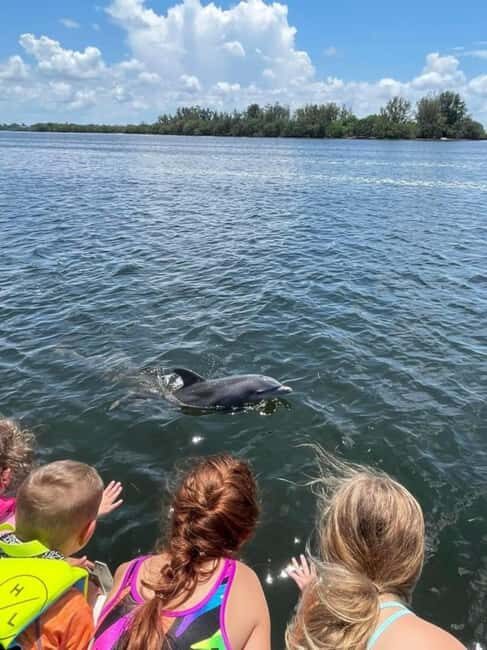 Tarpon Springs: Private Island Tour & Dolphin Cruise - Who Is This Tour Best For?