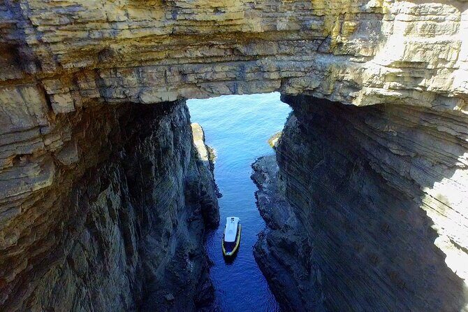 Tasman Island Cruises Day Tour from Hobart - What Makes This Tour Special?