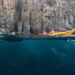 Tasman Peninsula full day kayaking tour - Final Thoughts: Is It Worth It?