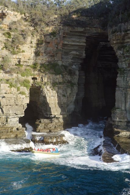 Tasman Peninsula Tour, Cruise & Port Arthur Historic Site - A Deep Dive into the Tasman Peninsula Tour Experience