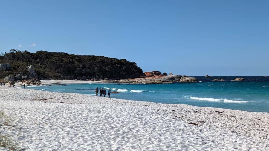 Tasmania: 6-Day Comfort Tour for Wilderness and Wildlife - Practical Details and What It Means for You