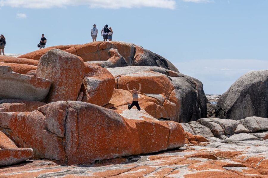 Tasmania: 7-Day West to East Tour - What to Expect: Practical Details and the Experience